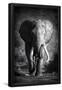 Essential Black