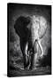 Stretched Canvas