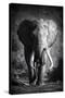 Stretched Canvas