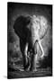Stretched Canvas