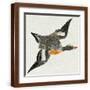Brown Frame