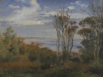 Zealand Landscape. Open Country in North Zealand, 1842-Johan Thomas Lundbye-Framed Giclee Print