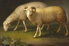 A Ram and Sheep-Johan Wenzel Peter-Giclee Print