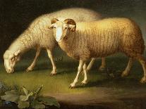 A Ram and a Sheep-Johan Wenzel Peter-Giclee Print