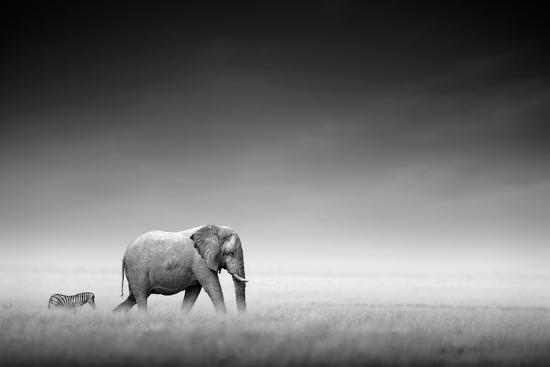 Premium Photographic Print, , large