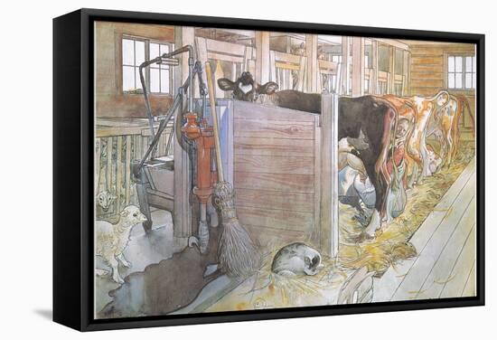 Johana Milking the Cows-Carl Larsson-Framed Stretched Canvas