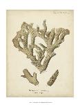 Natura Coral I-Johann Esper-Stretched Canvas