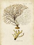 Natura Coral III-Johann Esper-Laminated Art Print