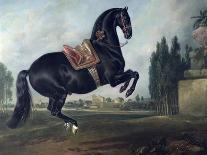 The Bay Horse' Sincero'-Johann Georg Hamilton-Stretched Canvas