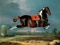 A Black Horse Sporting a Spanish Saddle-Johann Georg Hamilton-Mounted Giclee Print