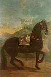 A Black Horse Sporting a Spanish Saddle-Johann Georg Hamilton-Giclee Print