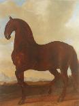 The Bay Horse' Sincero'-Johann Georg Hamilton-Stretched Canvas