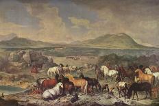 The Bay Horse' Sincero'-Johann Georg Hamilton-Stretched Canvas