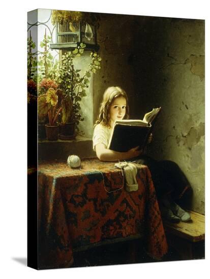 Stretched Canvas Print, , large