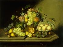 A Still Life with a Basket of Grapes and Mixed Fruit on a Stone Ledge-Johann Georg Seitz-Mounted Giclee Print