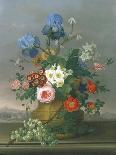 Still Life of Flowers on a Ledge-Johann Knapp-Framed Stretched Canvas