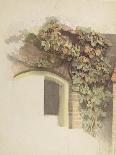 Grapevines on a Brick House, 1832-Johann Martin Gensler-Mounted Giclee Print