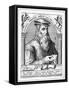 Johann Operinus-Theodor De Brij-Framed Stretched Canvas