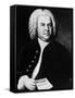 Johann Sebastian Bach, German Composer, Portrait by Elias Gottlieb Haussmann, 1746-null-Framed Stretched Canvas