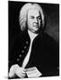 Johann Sebastian Bach, German Composer, Portrait by Elias Gottlieb Haussmann, 1746-null-Mounted Photo