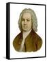 Johann Sebastian Bach German Organist and Composer-null-Framed Stretched Canvas