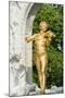 Johann Strauss Monument, Vienna, Austria-Jim Engelbrecht-Mounted Photographic Print