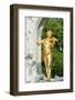 Johann Strauss Monument, Vienna, Austria-Jim Engelbrecht-Framed Photographic Print