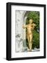 Johann Strauss Monument, Vienna, Austria-Jim Engelbrecht-Framed Photographic Print