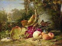 Still Life with Lidded Goblet, Fruit and Biscuit, 1836-Johann Wilhelm Preyer-Framed Giclee Print
