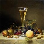 Fruit Still Life, with White and Blue Grapes on a Marble Table, 1834-Johann Wilhelm Preyer-Giclee Print