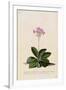Gramercy White