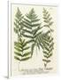 Gramercy White