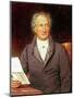 Johann Wolfgang Von Goethe (1749-1832) 1828-Joseph Karl Stieler-Mounted Giclee Print