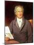 Johann Wolfgang Von Goethe (1749-1832) 1828-Joseph Karl Stieler-Mounted Giclee Print