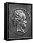 Johann Wolfgang Von Goethe, 1829 (Bronze)-Pierre Jean David d'Angers-Framed Stretched Canvas