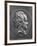 Johann Wolfgang Von Goethe, 1829 (Bronze)-Pierre Jean David d'Angers-Framed Giclee Print