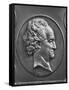 Johann Wolfgang Von Goethe, 1829 (Bronze)-Pierre Jean David d'Angers-Framed Stretched Canvas