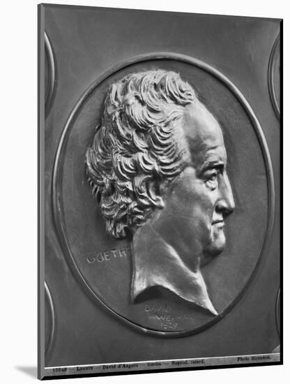 Johann Wolfgang Von Goethe, 1829 (Bronze)-Pierre Jean David d'Angers-Mounted Premium Giclee Print