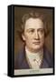 Johann Wolfgang Von Goethe German Writer and Scientist-null-Framed Stretched Canvas