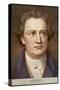 Johann Wolfgang Von Goethe German Writer and Scientist-null-Stretched Canvas