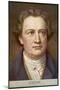 Johann Wolfgang Von Goethe German Writer and Scientist-null-Mounted Art Print