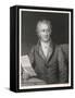 Johann Wolfgang Von Goethe German Writer and Scientist-null-Framed Stretched Canvas