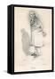 Johann Wolfgang von Goethe-Daniel Maclise-Framed Stretched Canvas