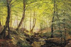 Forest Glade, Springtime-Johannes Boesen-Giclee Print