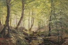 A Forest Glade-Johannes Boesen-Stretched Canvas