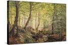 Stretched Canvas