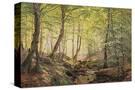 Stretched Canvas