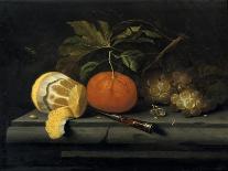 Fruits on a Table Setting of Stone, C1653-1659-Johannes Borman-Mounted Giclee Print