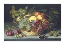 Still Life of Apples, Grapes and Nuts-Johannes Bosschaert-Mounted Giclee Print