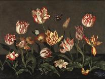 Flower Still Life with Crown Imperial, 1626-Johannes Bosschaert-Framed Stretched Canvas